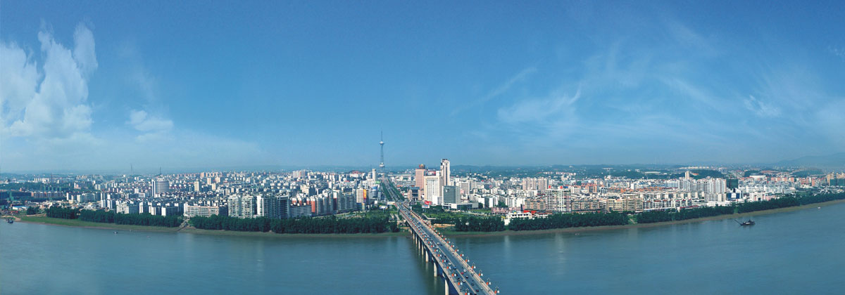 公司動態